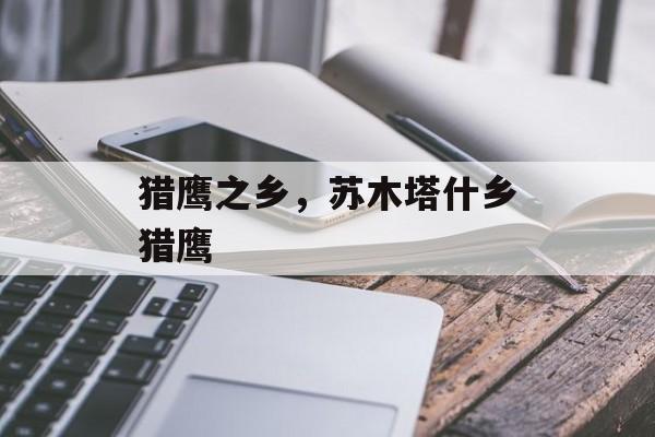 猎鹰之乡，苏木塔什乡猎鹰-第1张图片-