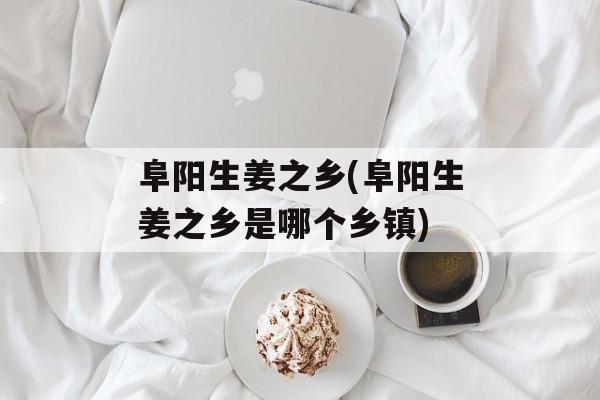 阜阳生姜之乡(阜阳生姜之乡是哪个乡镇)-第1张图片-