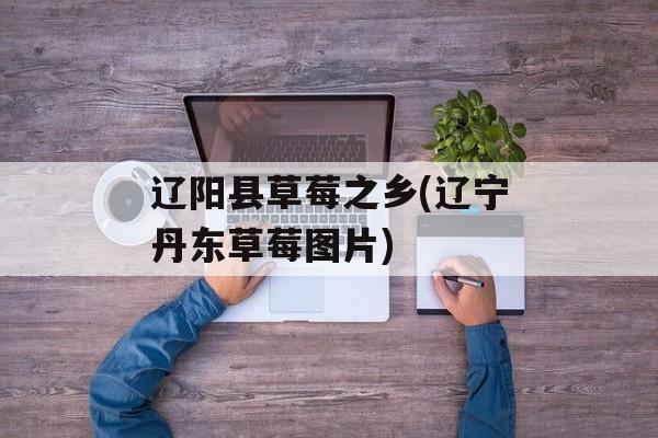 辽阳县草莓之乡(辽宁丹东草莓图片)-第1张图片-
