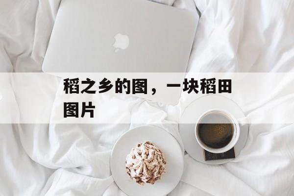 稻之乡的图，一块稻田图片-第1张图片-